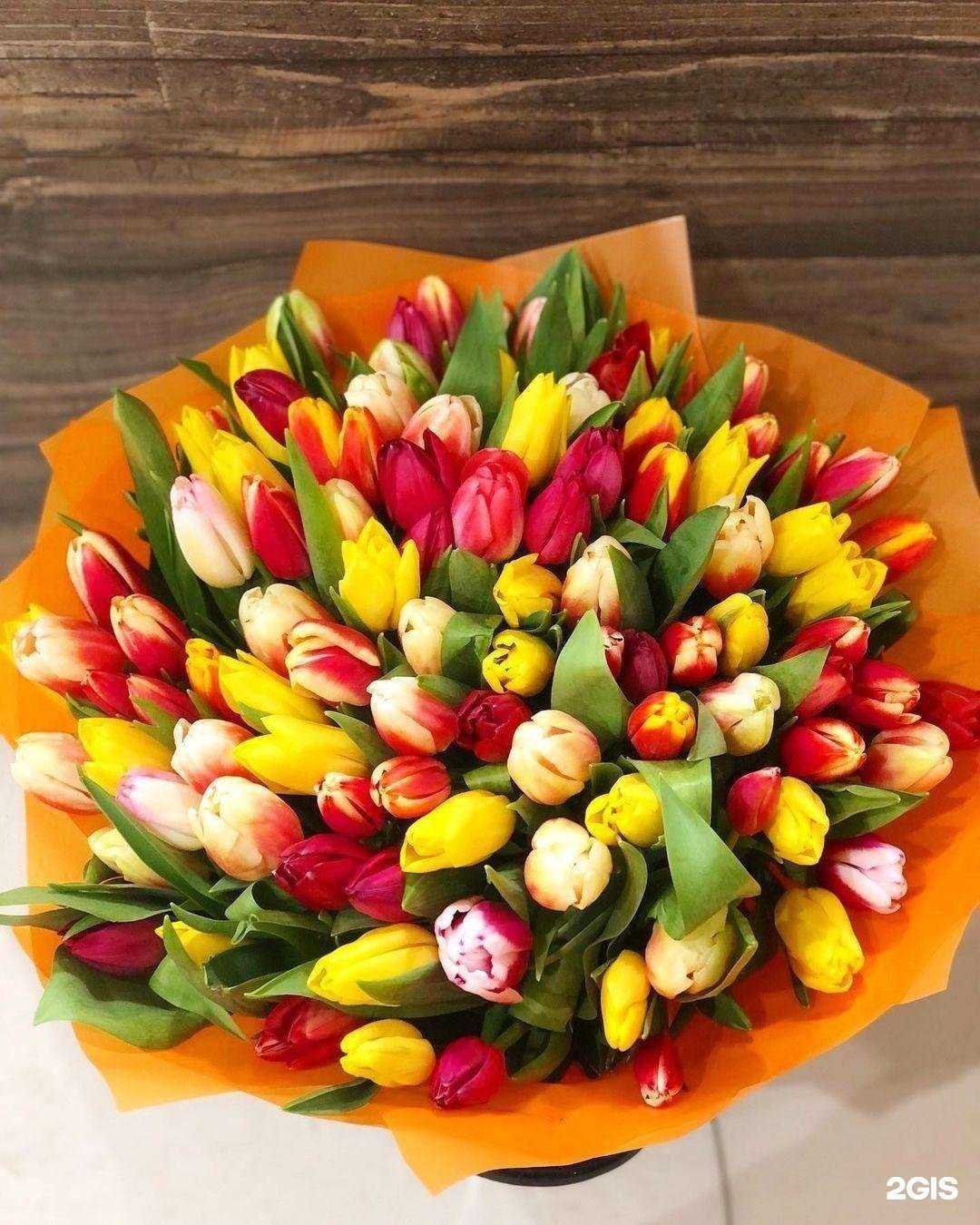 Отзывы на компанию Happy Pion в г. Люберцы c фото