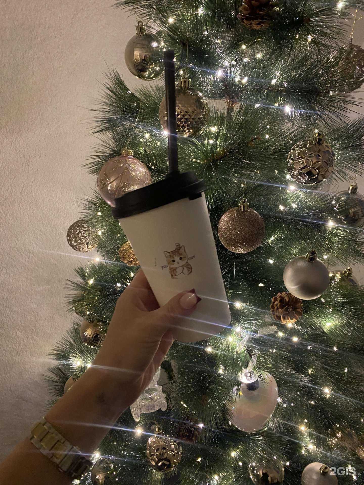 Отзывы на компанию Sirelis в Новосибирске c фото