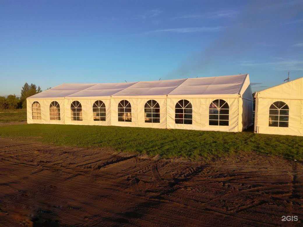 Отзывы на компанию Графика в Омске c фото