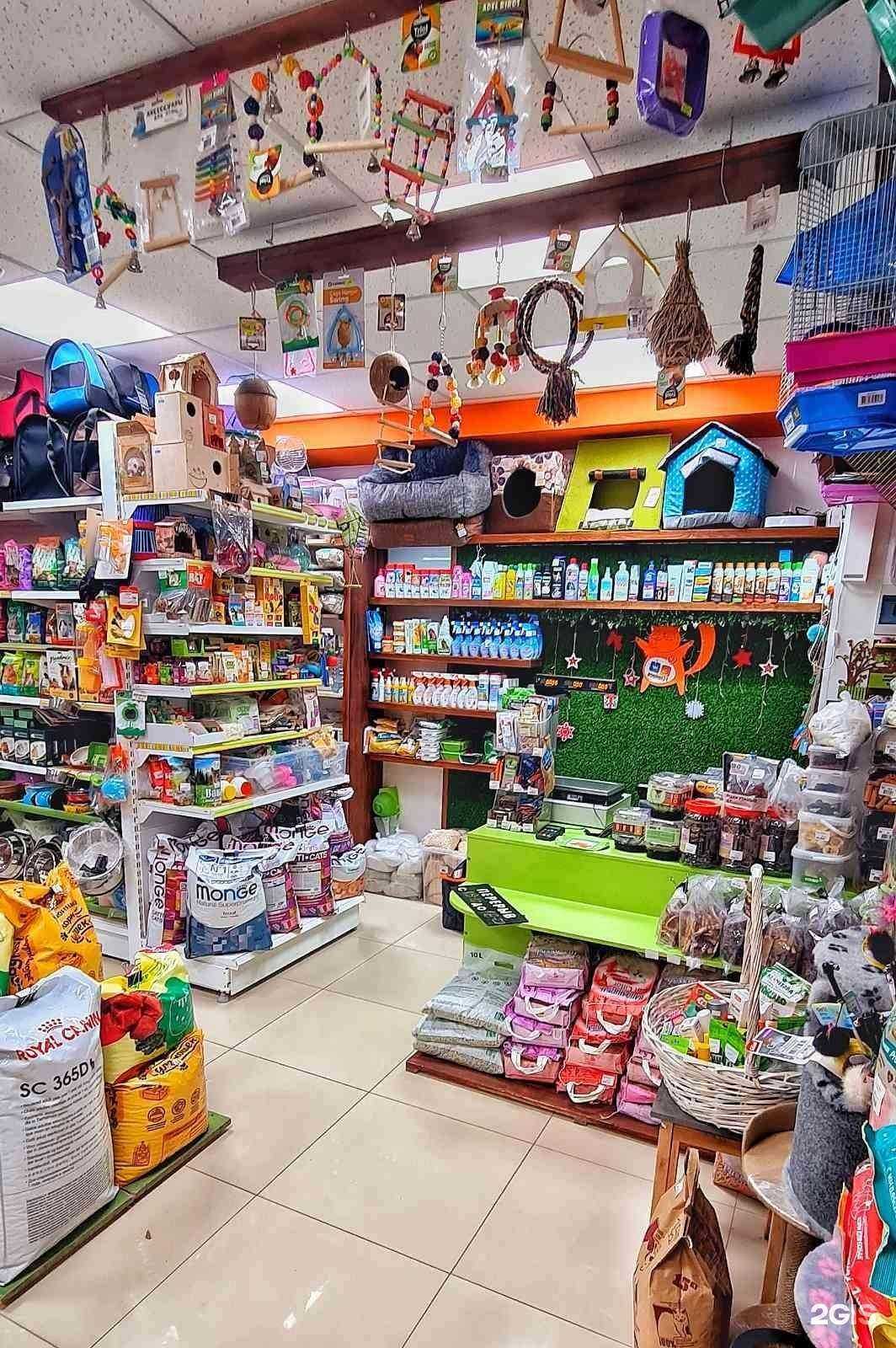 Отзывы на компанию Рыжий Кот 31 в г. Белгород c фото