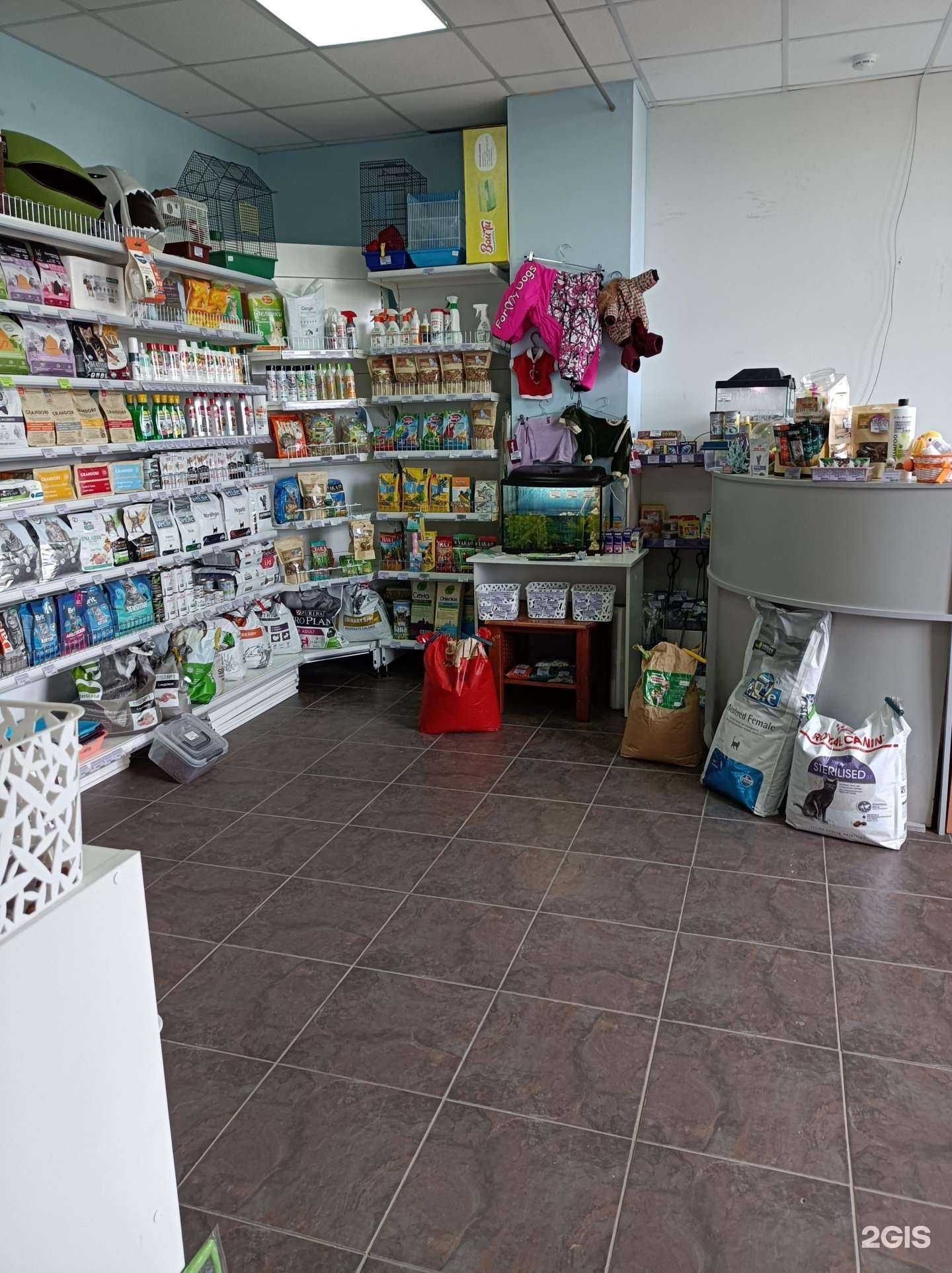 Отзывы на компанию Микки в г. Ивантеевка c фото