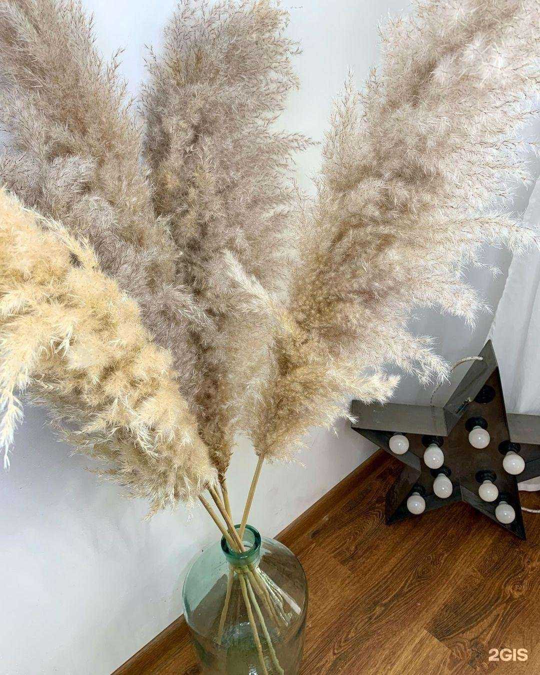 Отзывы на компанию Лаванда в Тамбове c фото