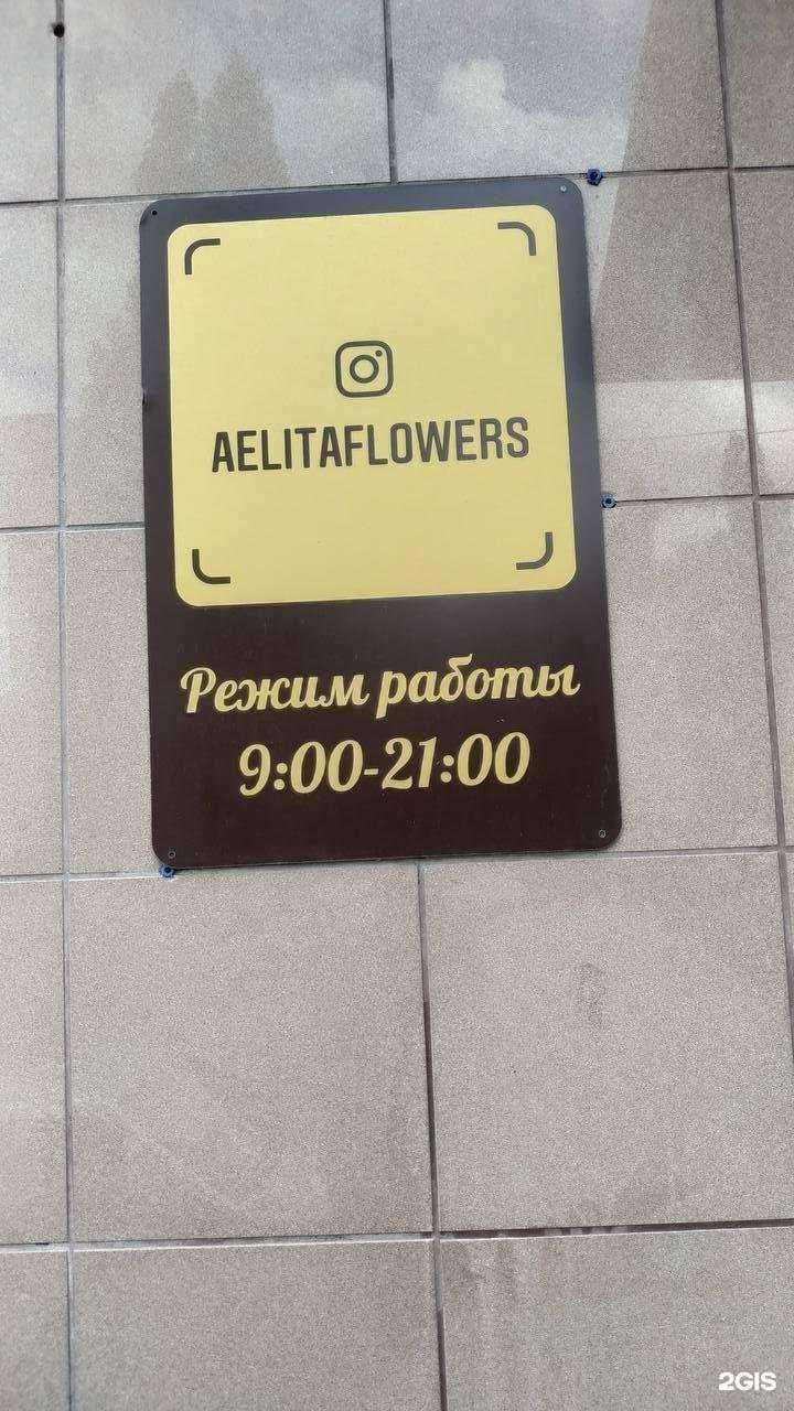 Отзывы на компанию Aelita-flowers в Новотроицке c фото