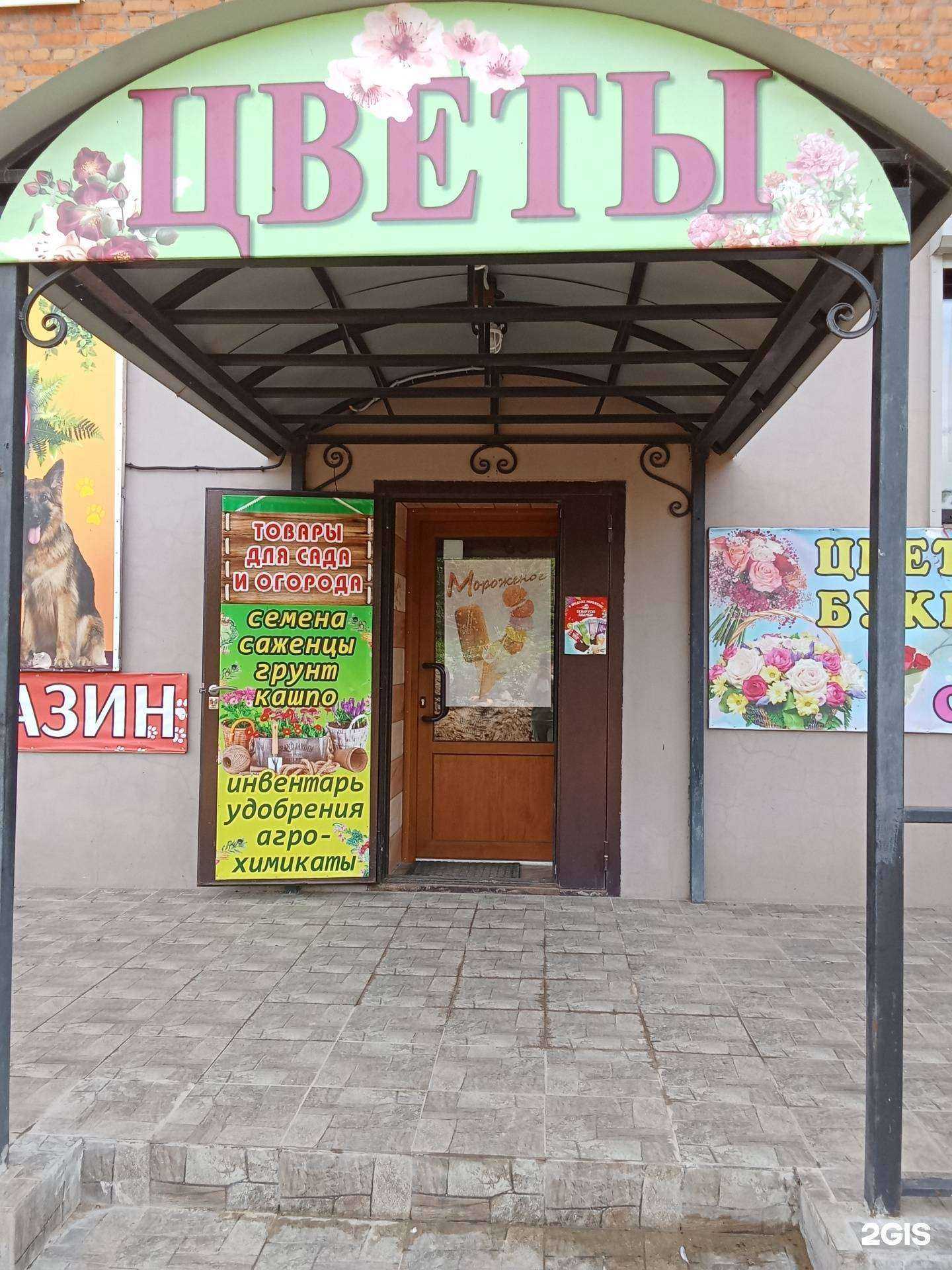 Отзывы на компанию Светик в Советске c фото