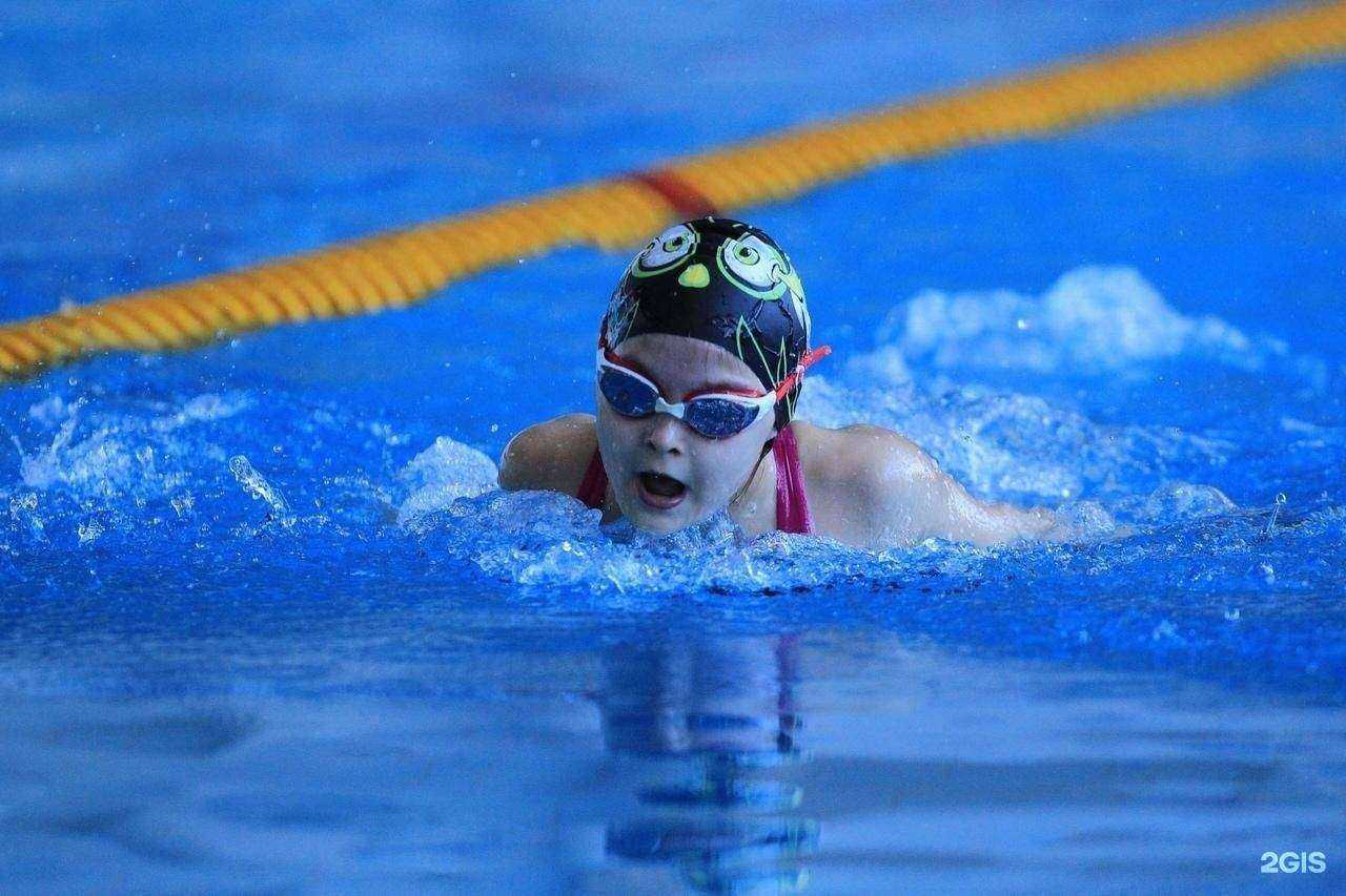 Отзывы на компанию TopSwim в Владимире c фото