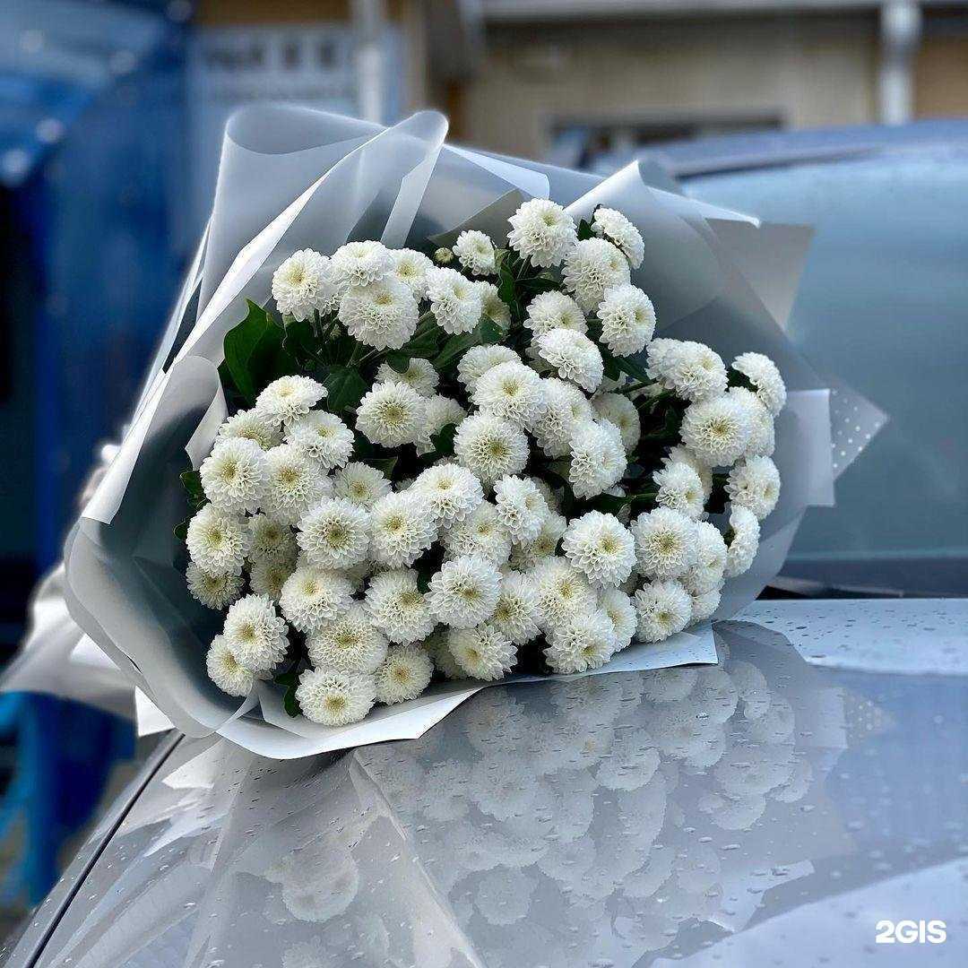 Отзывы на компанию Камелия в г. Лангепас c фото