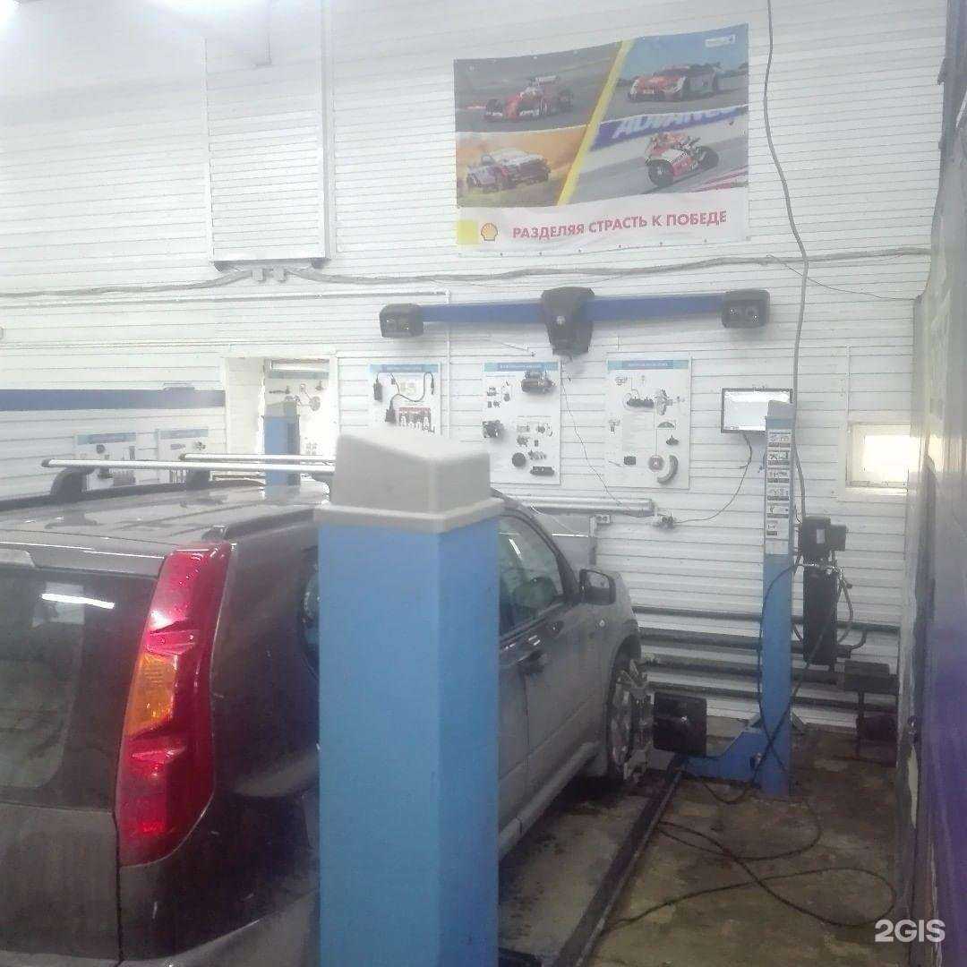 Отзывы на компанию ALLIGATOR в Томске c фото