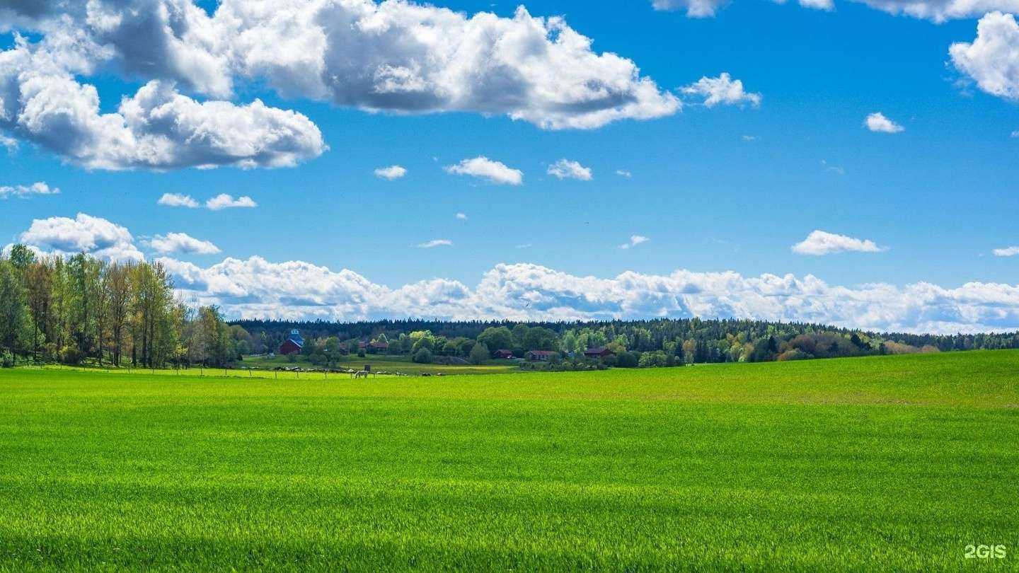 Отзывы на компанию Мамоны38 в г. Иркутск c фото