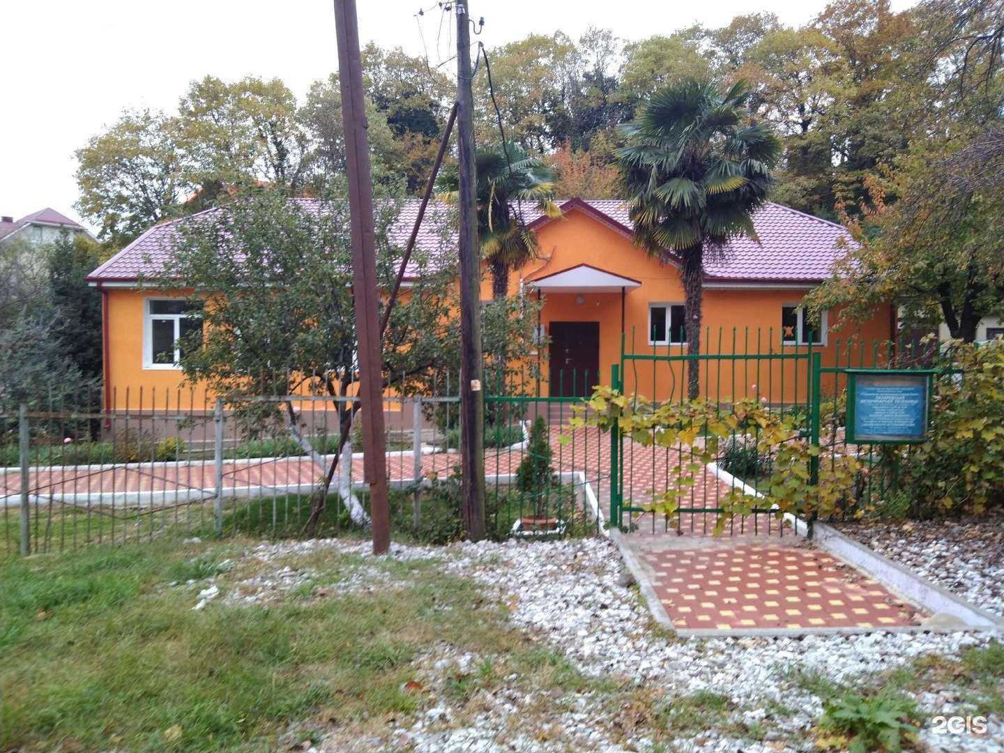 Отзывы на компанию Лазаревская ветеринарная лечебница в Сочи c фото