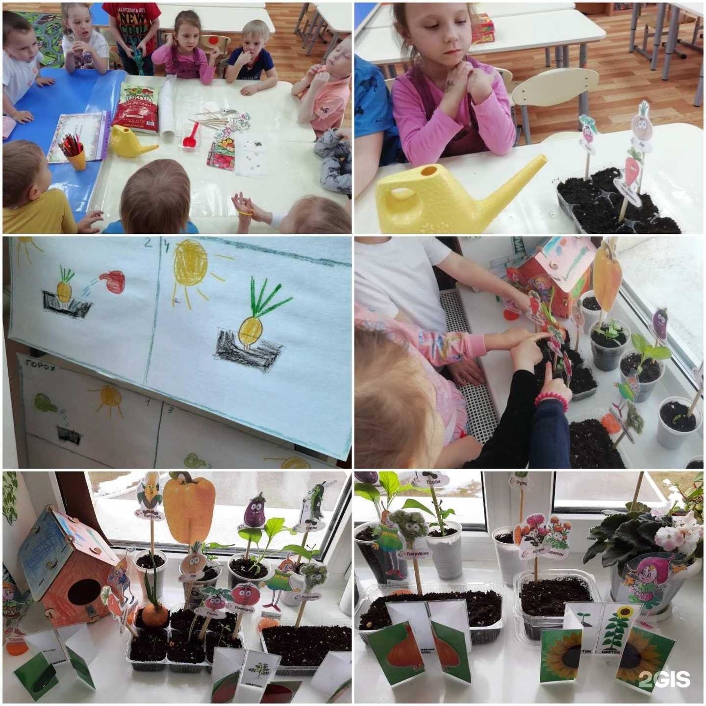 Отзывы на компанию Пересвет в г. Бор c фото