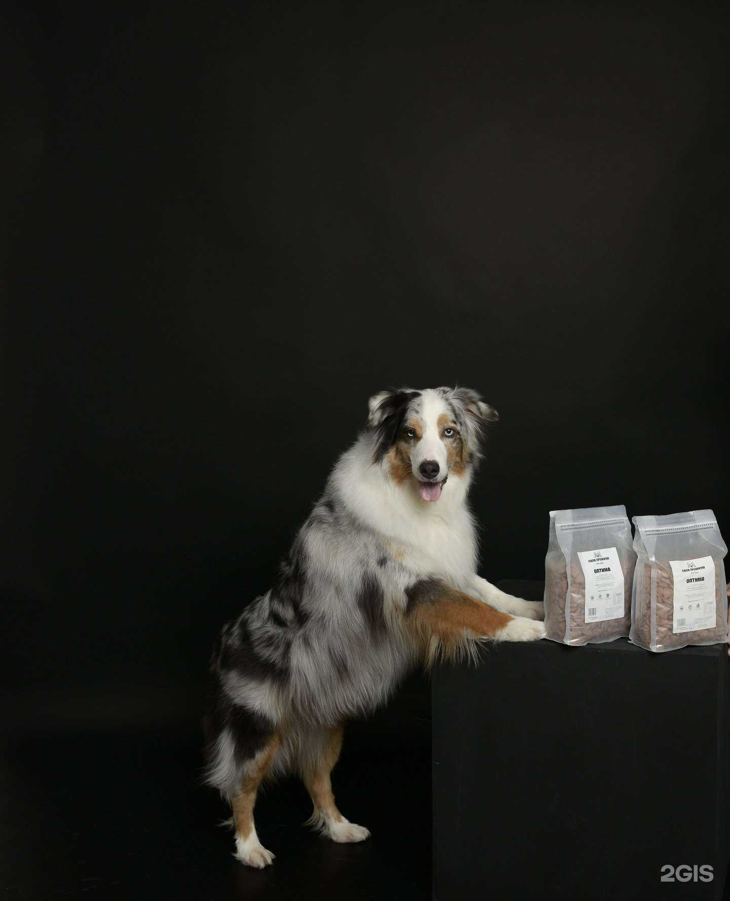 Отзывы на компанию 4 с хвостиком в г. Хабаровск c фото