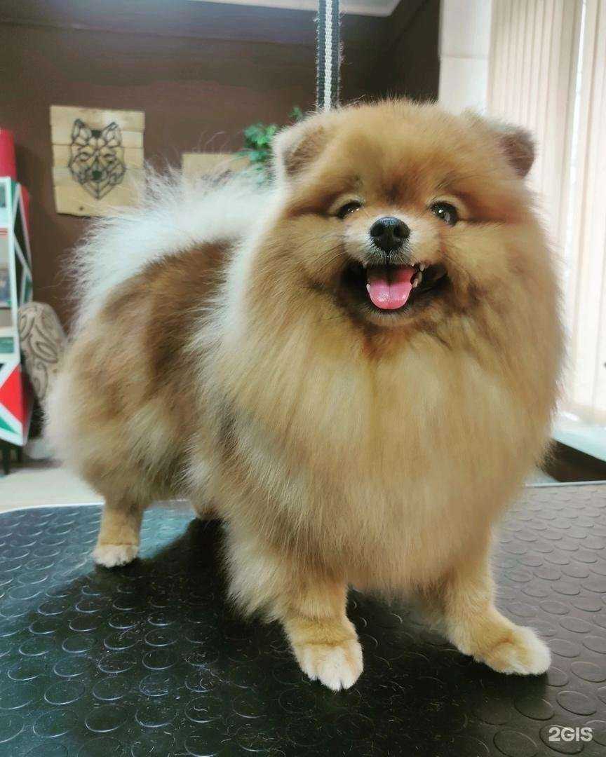 Отзывы на компанию Леди&Бродяга в г. Старый Оскол c фото