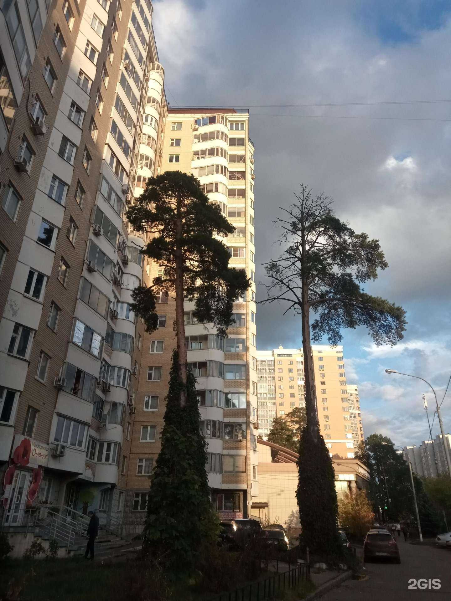 Отзывы на компанию ВелоГост в Королёве c фото - фотография 2 из 2