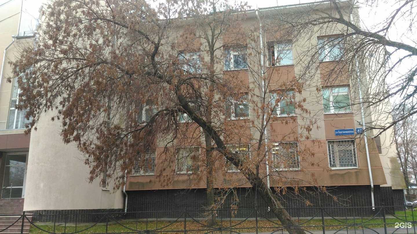 Отзывы на компанию SB GymMotion в Вологде c фото