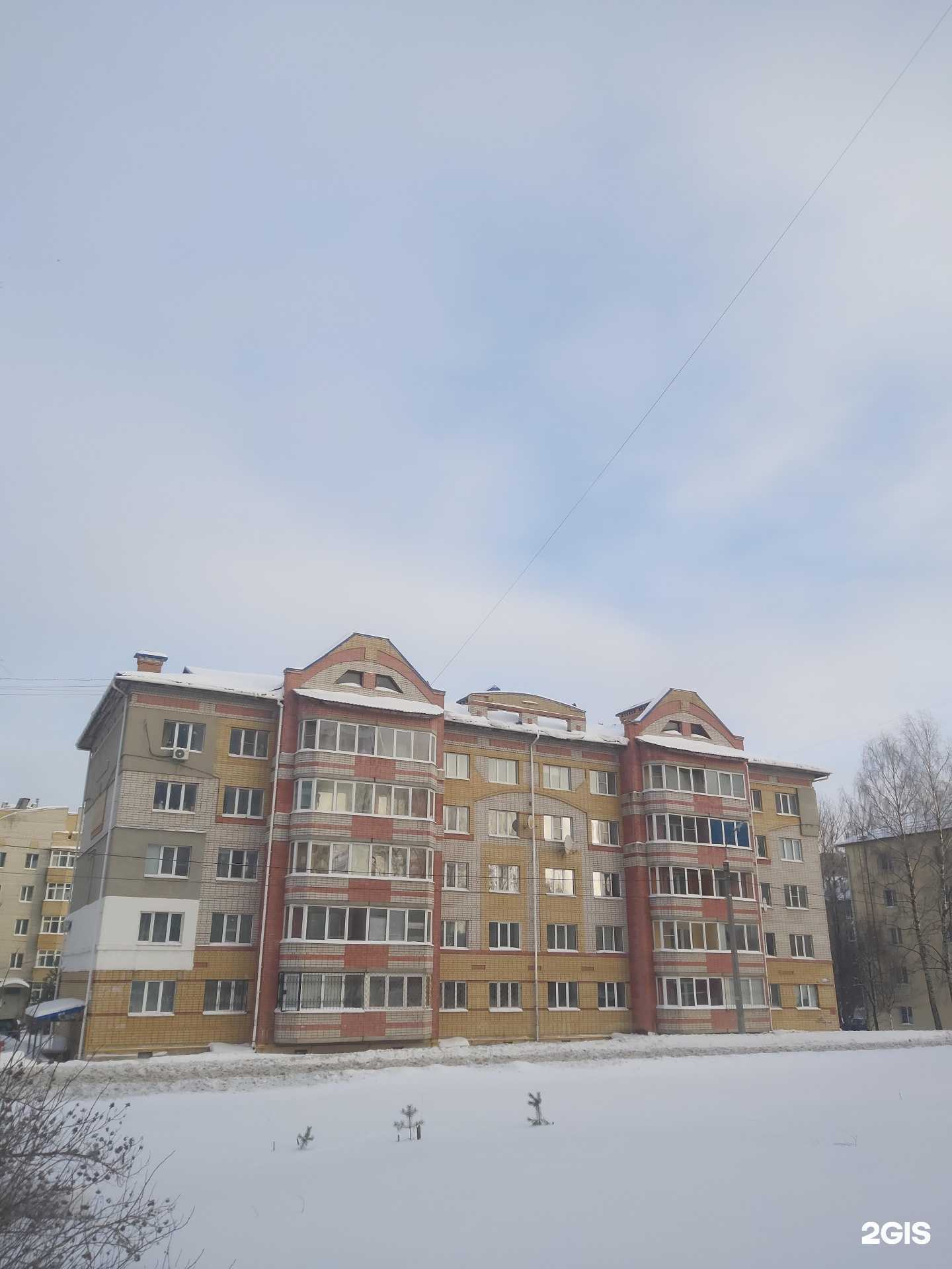 Отзывы на компанию Орхидея в Ярославле c фото - фотография 2 из 2