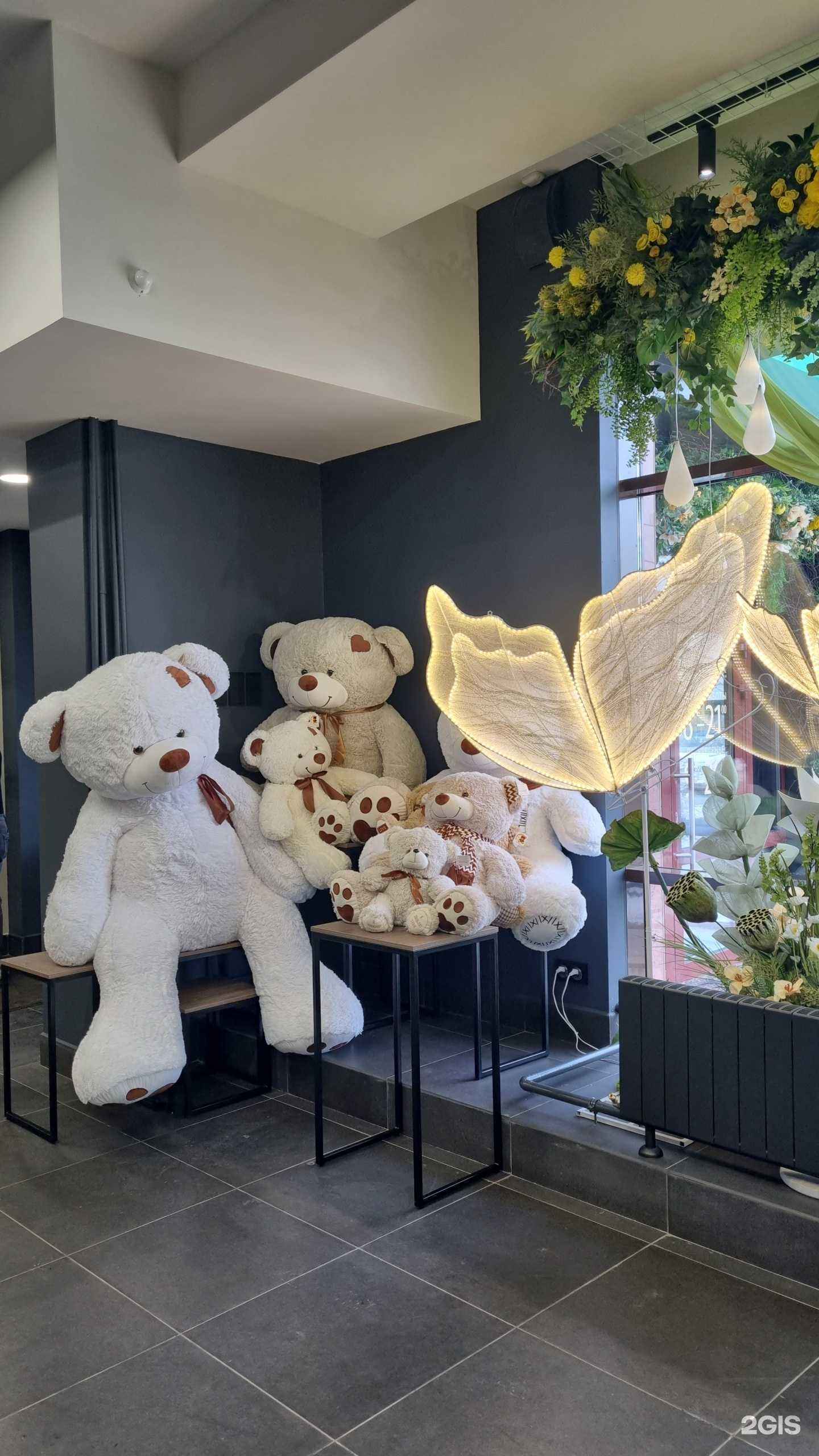 Отзывы на компанию ADORA в Кемерове c фото