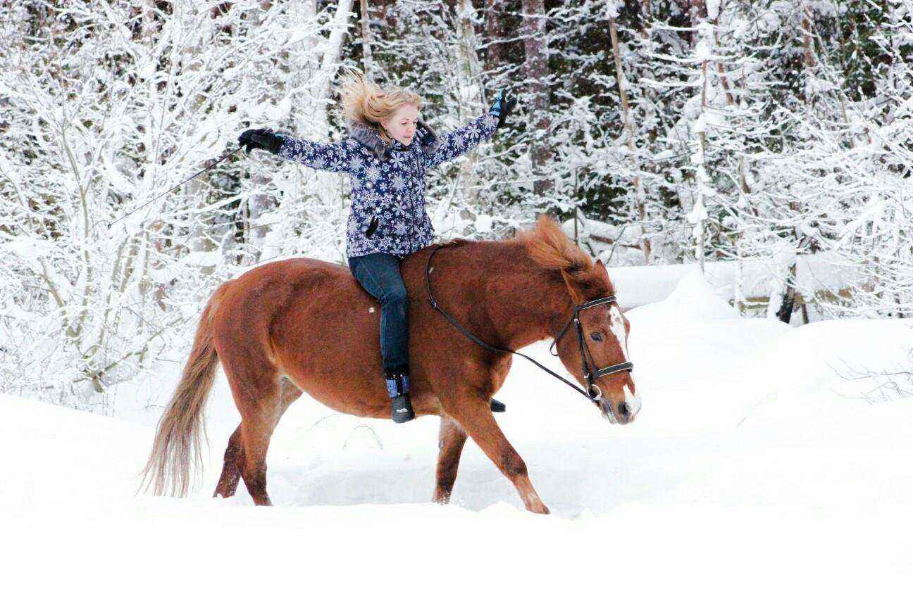 Отзывы на компанию Загородный конный клуб в Петрозаводске c фото
