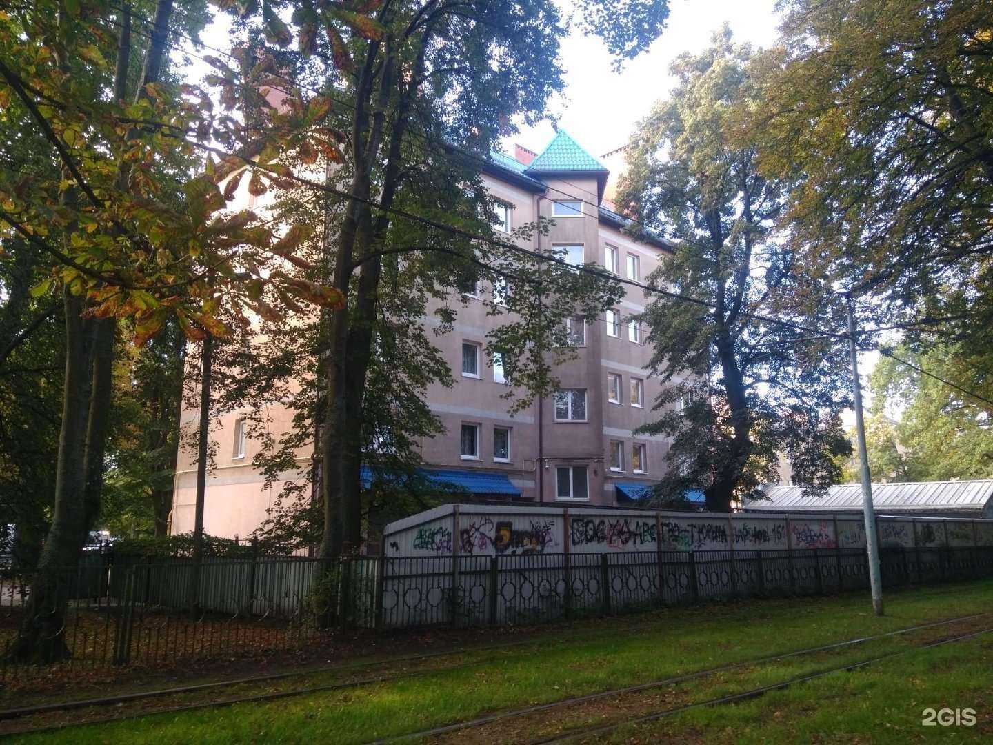 Отзывы на компанию Tristar matrix в Калининграде c фото - фотография 2 из 2