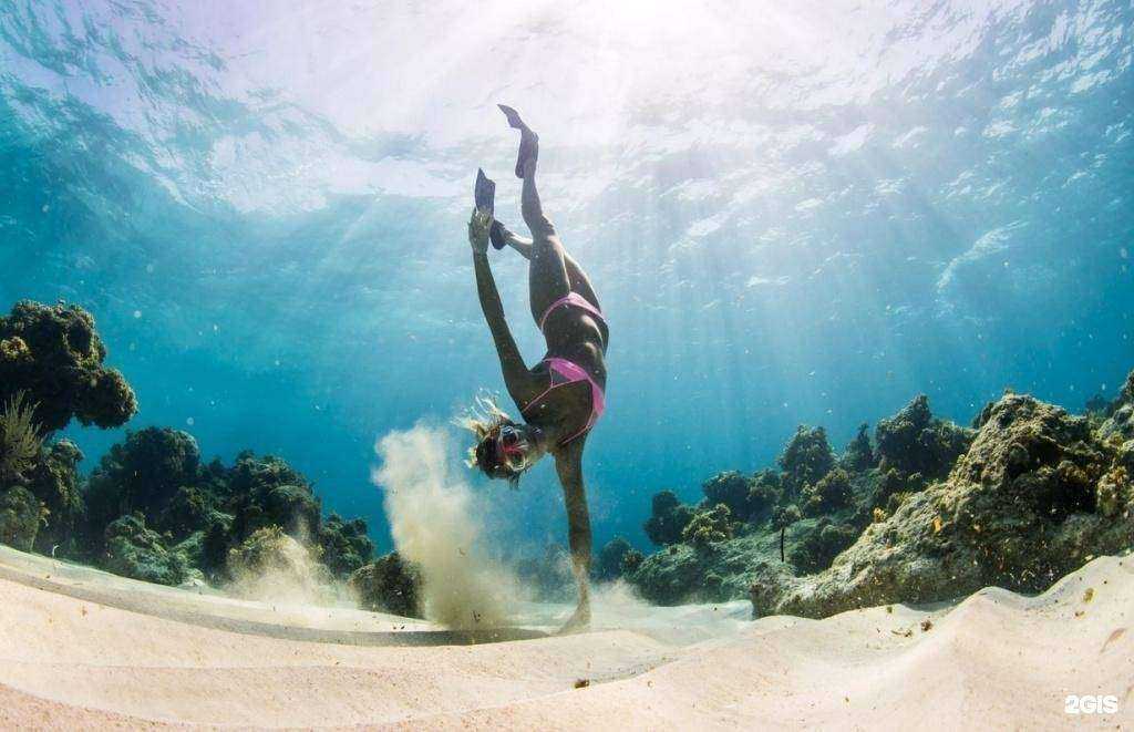 Отзывы на компанию Diskus в г. Отрадное c фото