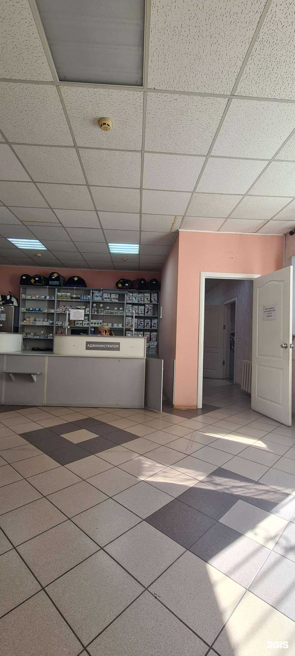 Отзывы на компанию Ветеринарная клиника в г. Шадринск c фото