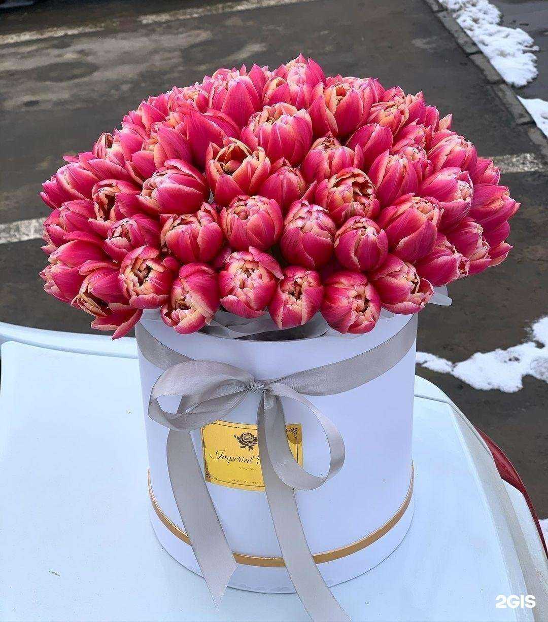 Отзывы на компанию Bogema flowers в Ставрополе c фото