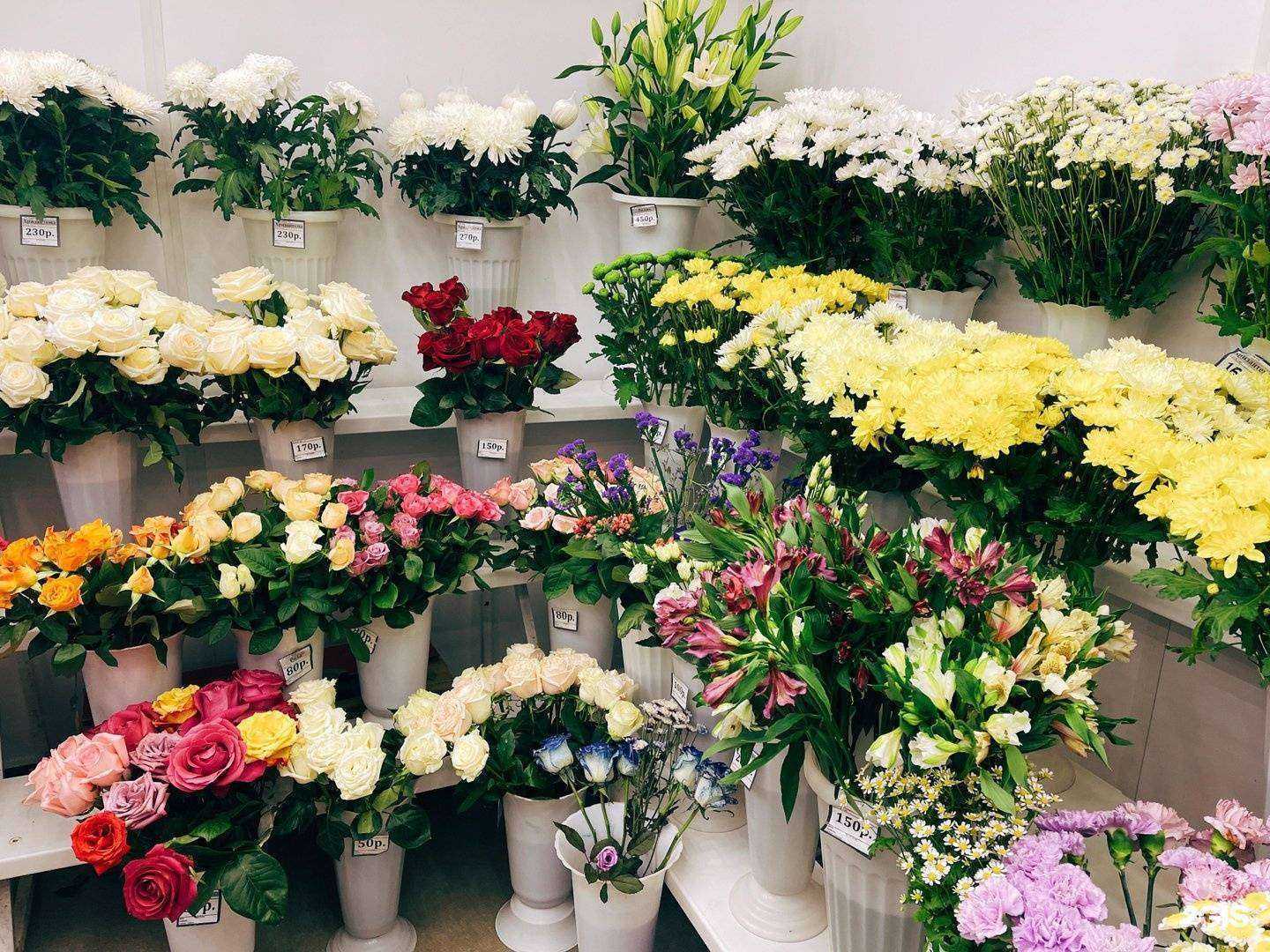 Отзывы на компанию Азалия в Томске c фото