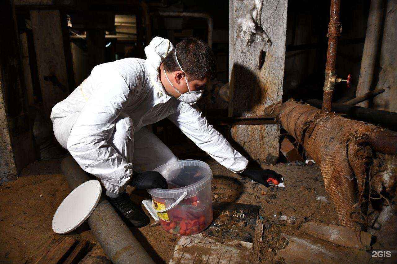 Отзывы на компанию Грандсервис45 в г. Курган c фото