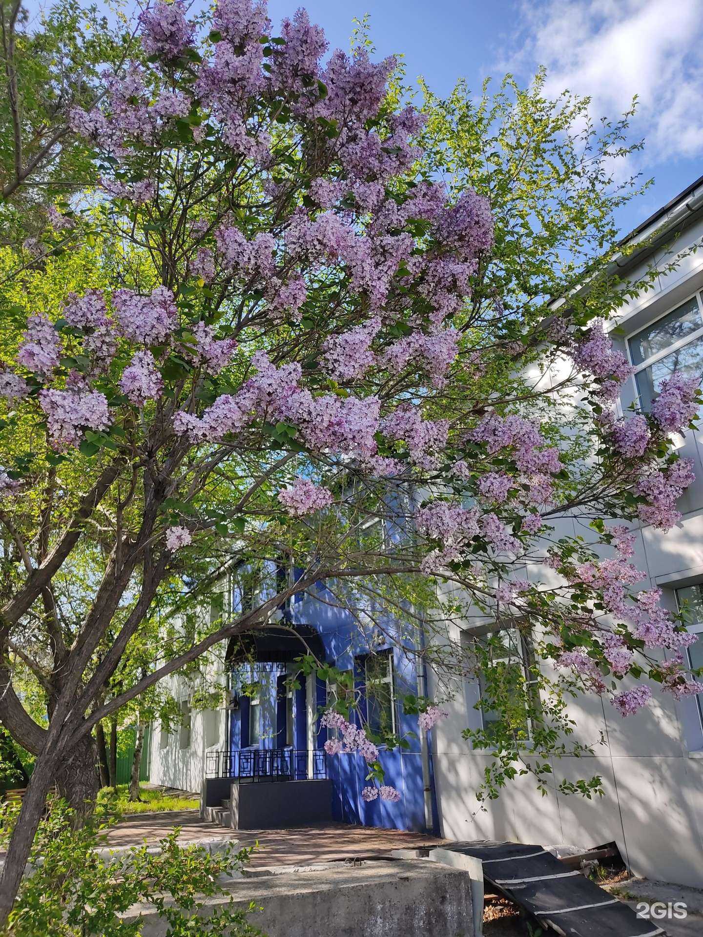 Отзывы на компанию Хабаровская краевая ветеринарная лаборатория в Хабаровске c фото - фотография 2 из 2