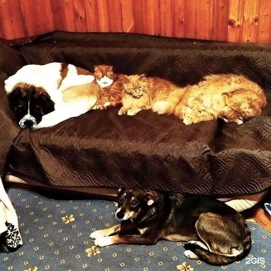 Отзывы на компанию Друг в г. Раменское c фото