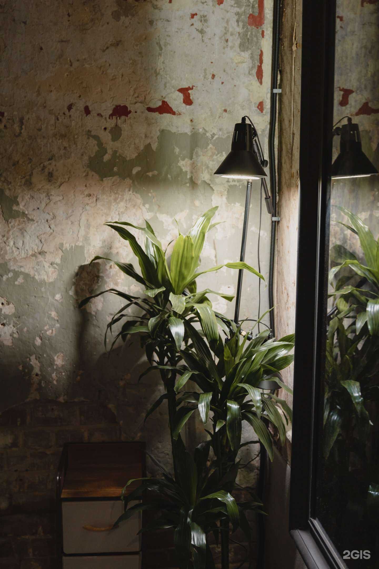 Отзывы на компанию Mate в Нижнем Новгороде c фото