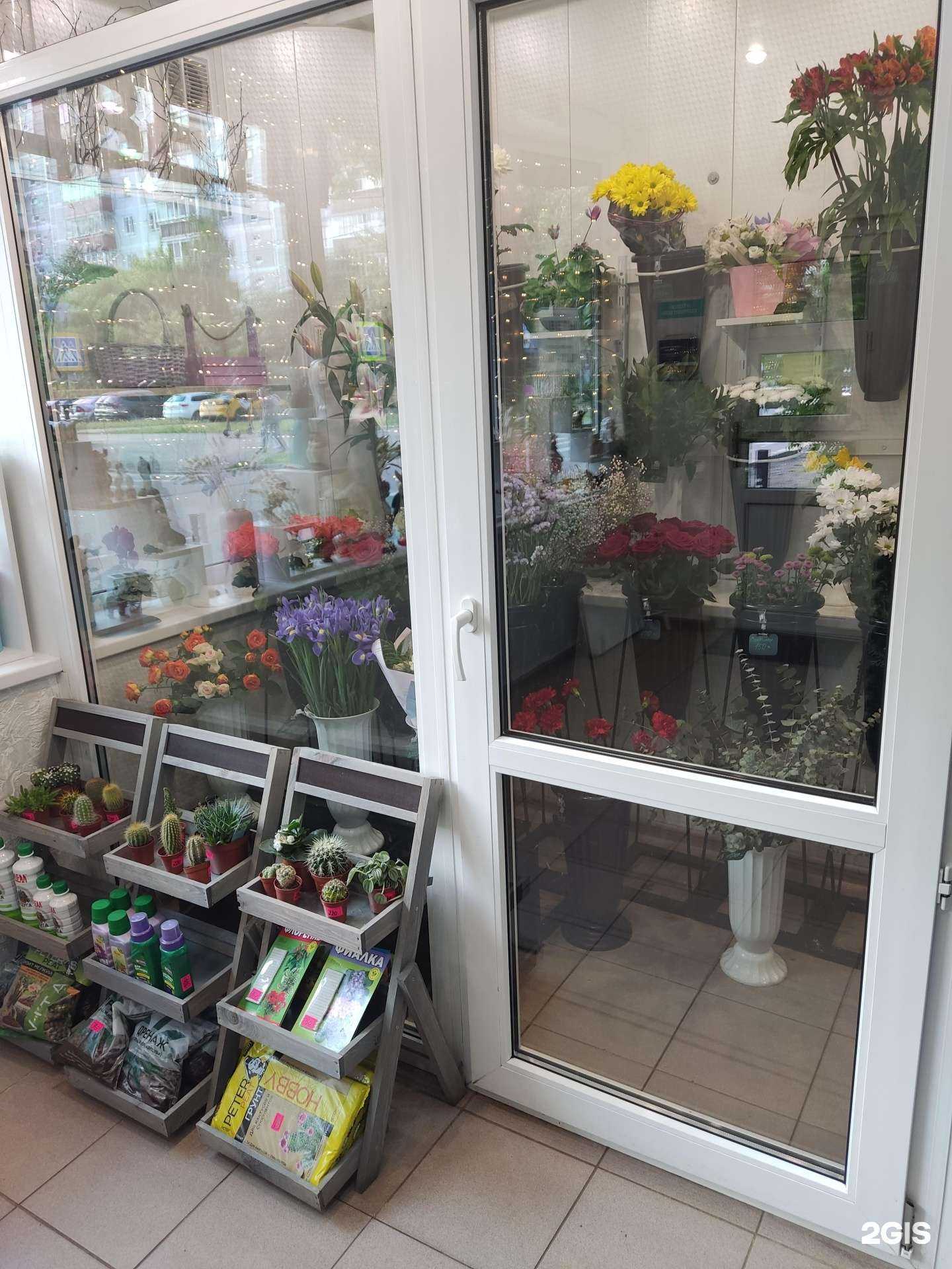 Отзывы на компанию Олеандр в Королёве c фото