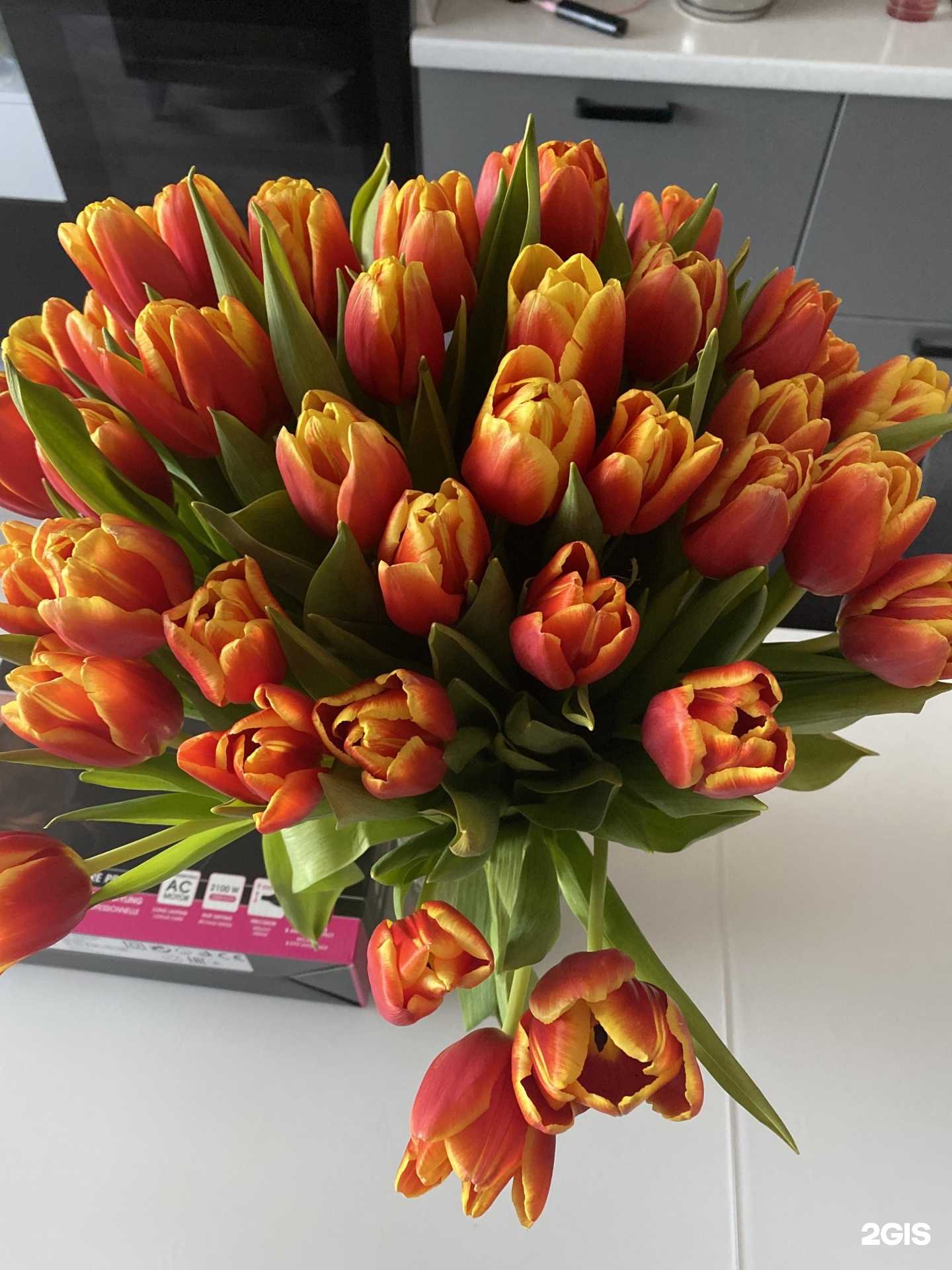 Отзывы на компанию Фиеста в Тюмени c фото