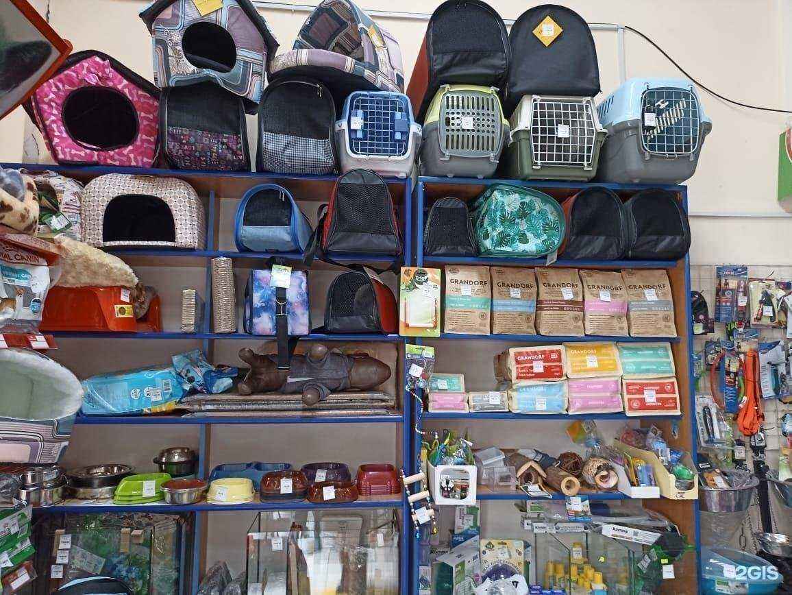 Отзывы на компанию Джамбо в Новороссийске c фото