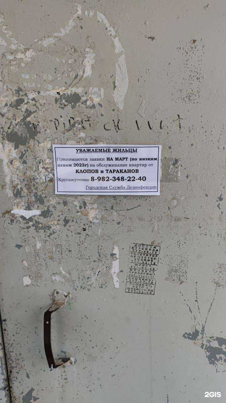 Отзывы на компанию Клевер в г. Челябинск c фото