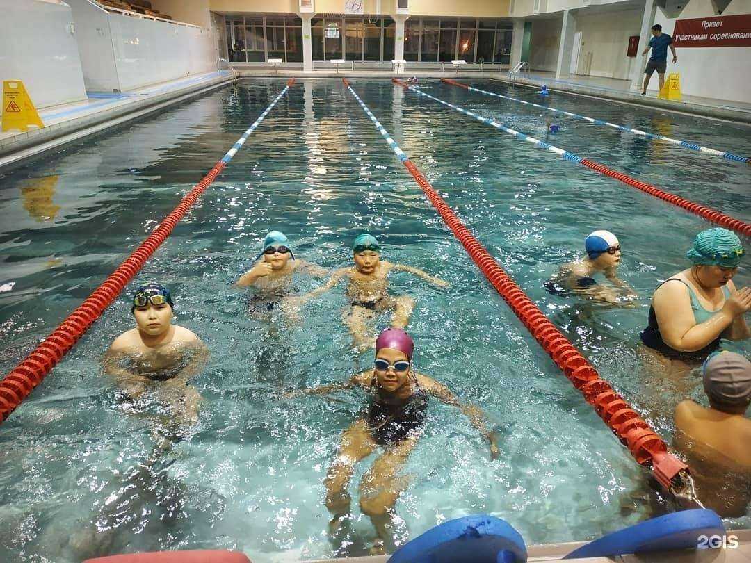 Отзывы на компанию Дельфин в г. Якутск c фото