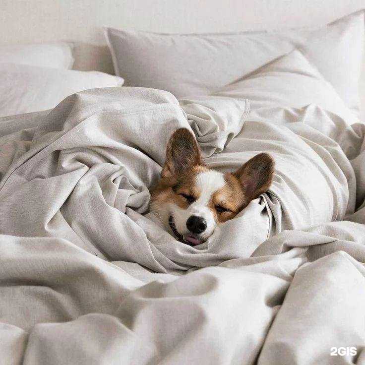 Отзывы на компанию Hakuna Matata в Уфе c фото