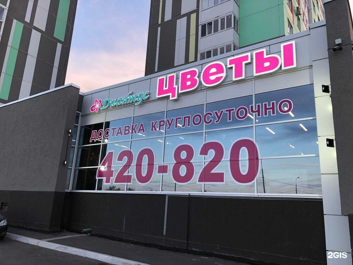 Отзывы на компанию Диантус в Оренбурге c фото