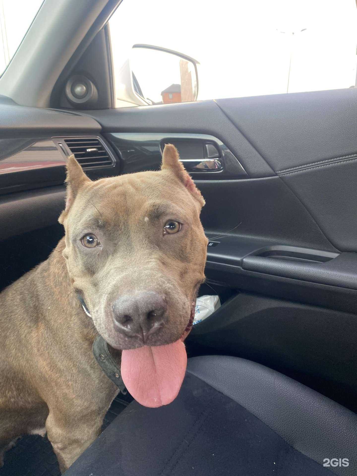 Отзывы на компанию Западная Сибирь в Тюмени c фото