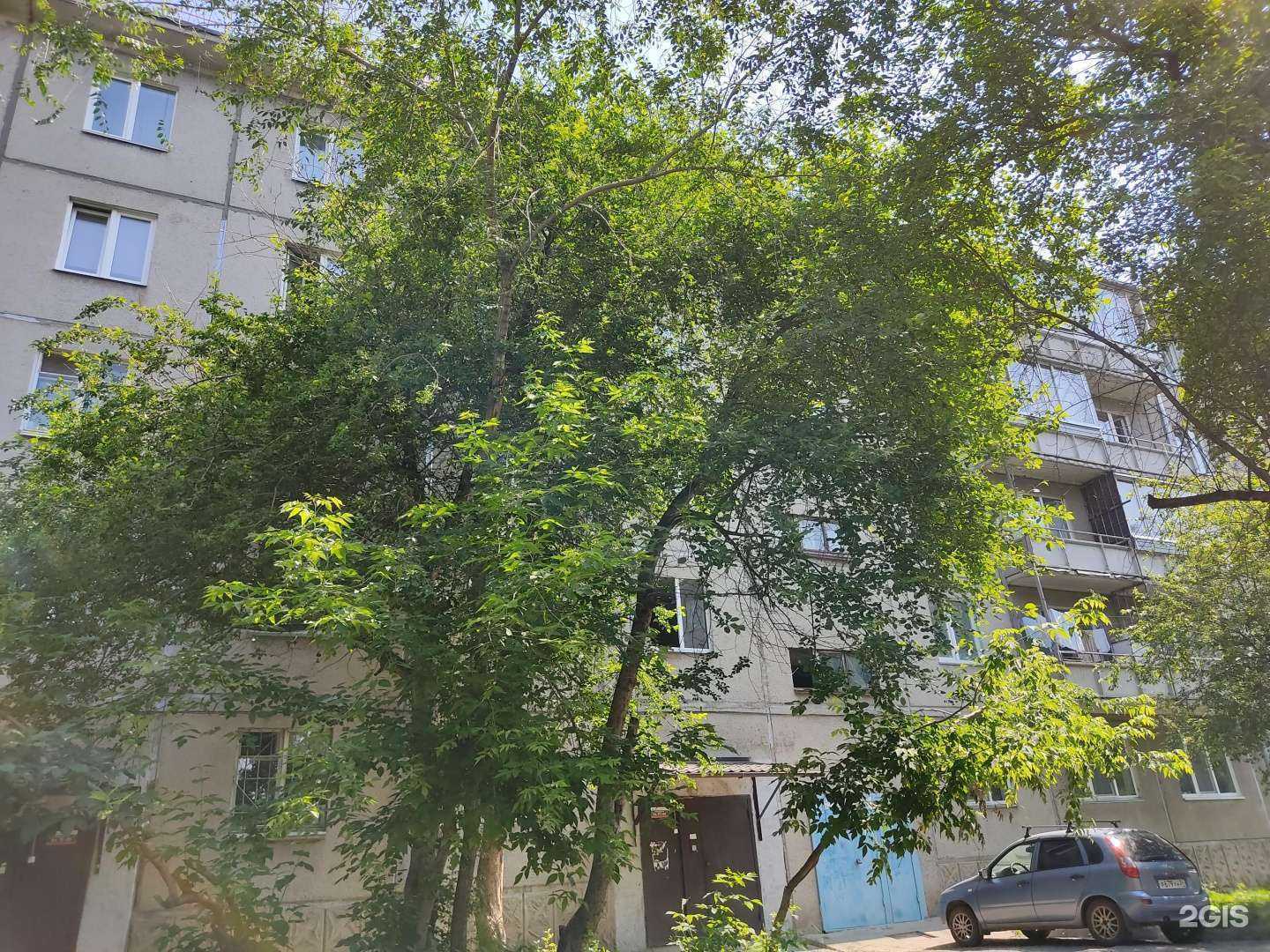 Отзывы на компанию Пиvkoff в Красноярске c фото - фотография 2 из 2