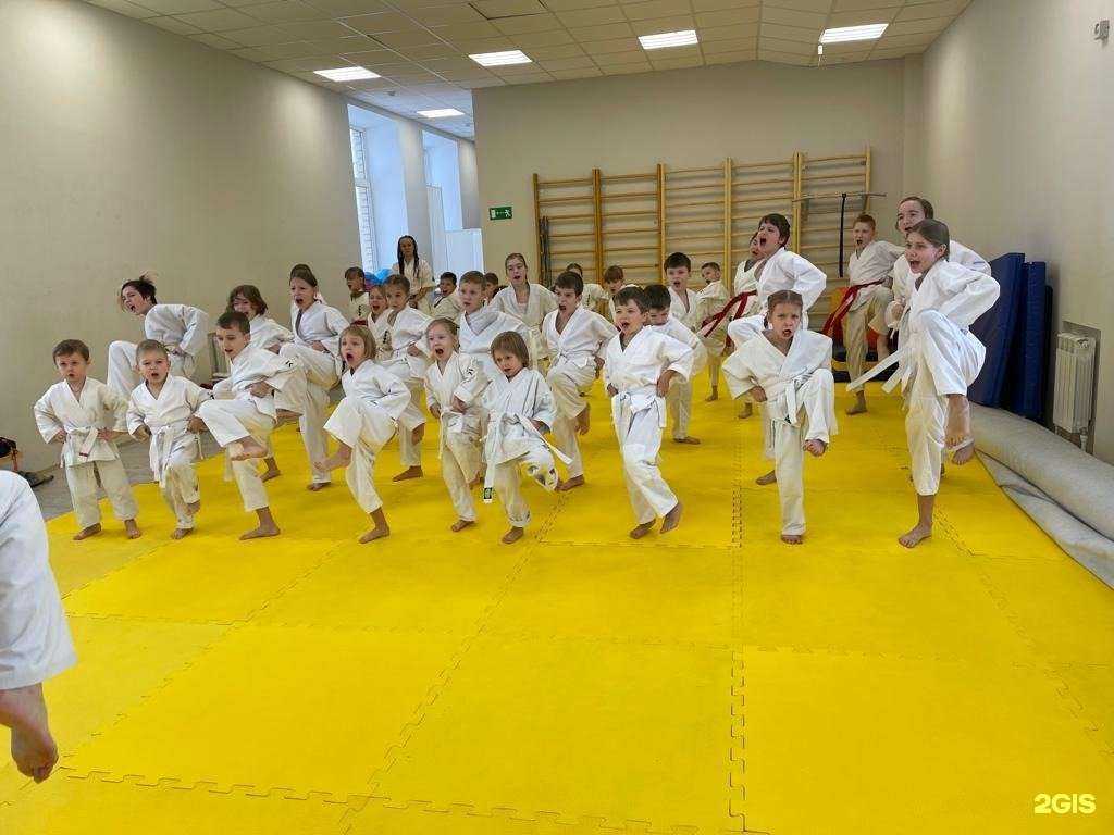Отзывы на компанию Спортивная секция каратэ в Нижнем Новгороде c фото
