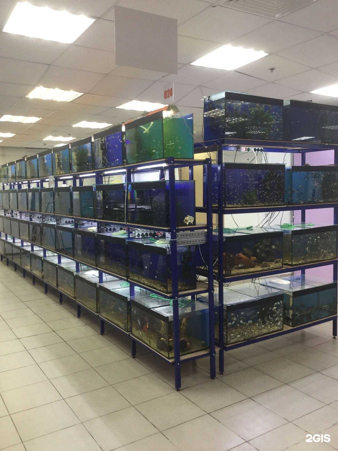 Отзывы на компанию Умка в Тольятти c фото