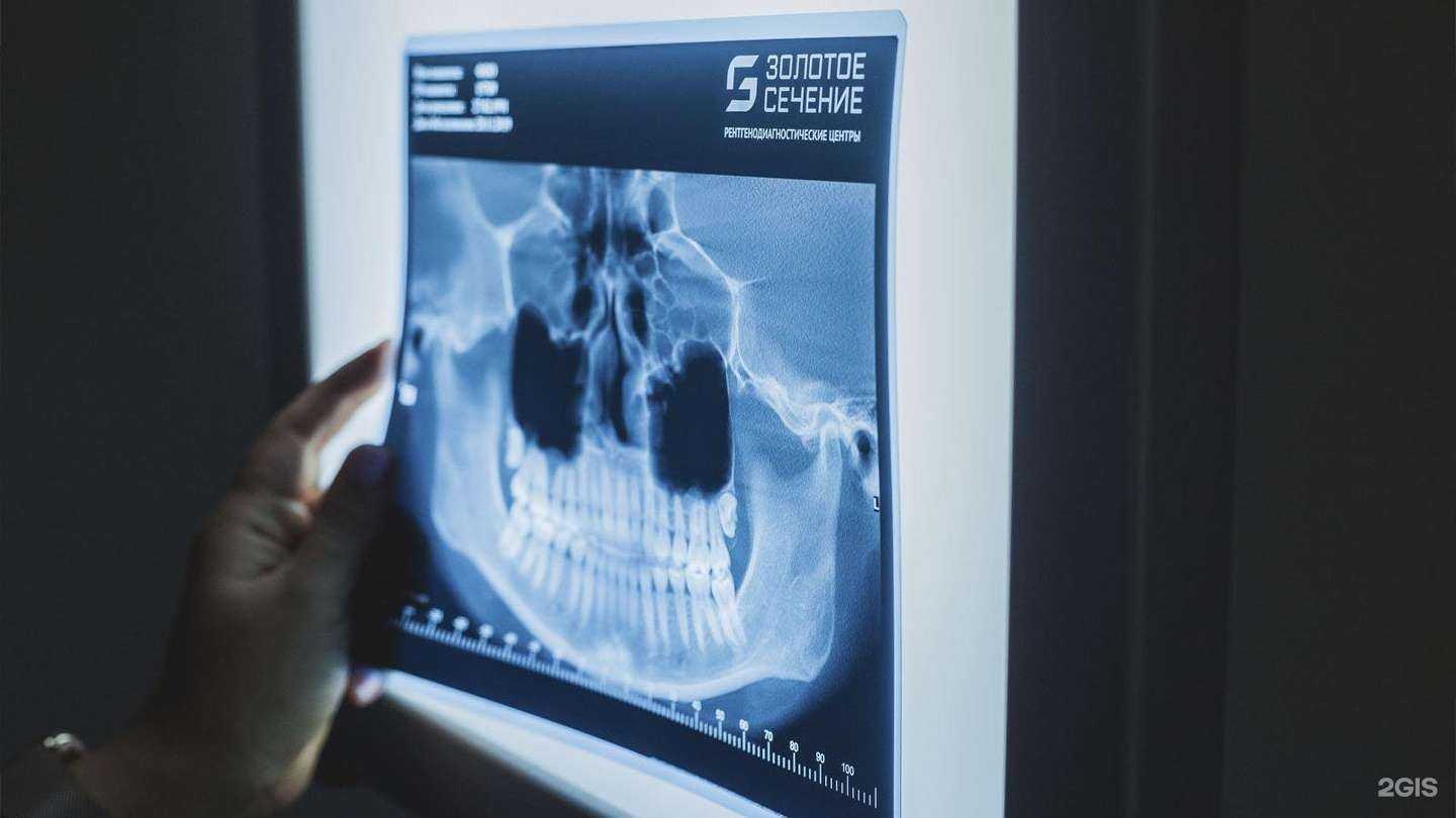 Отзывы на компанию Золотое сечение в Химках c фото