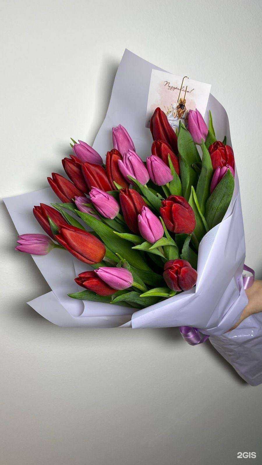 Отзывы на компанию Мята в Нижнекамске c фото