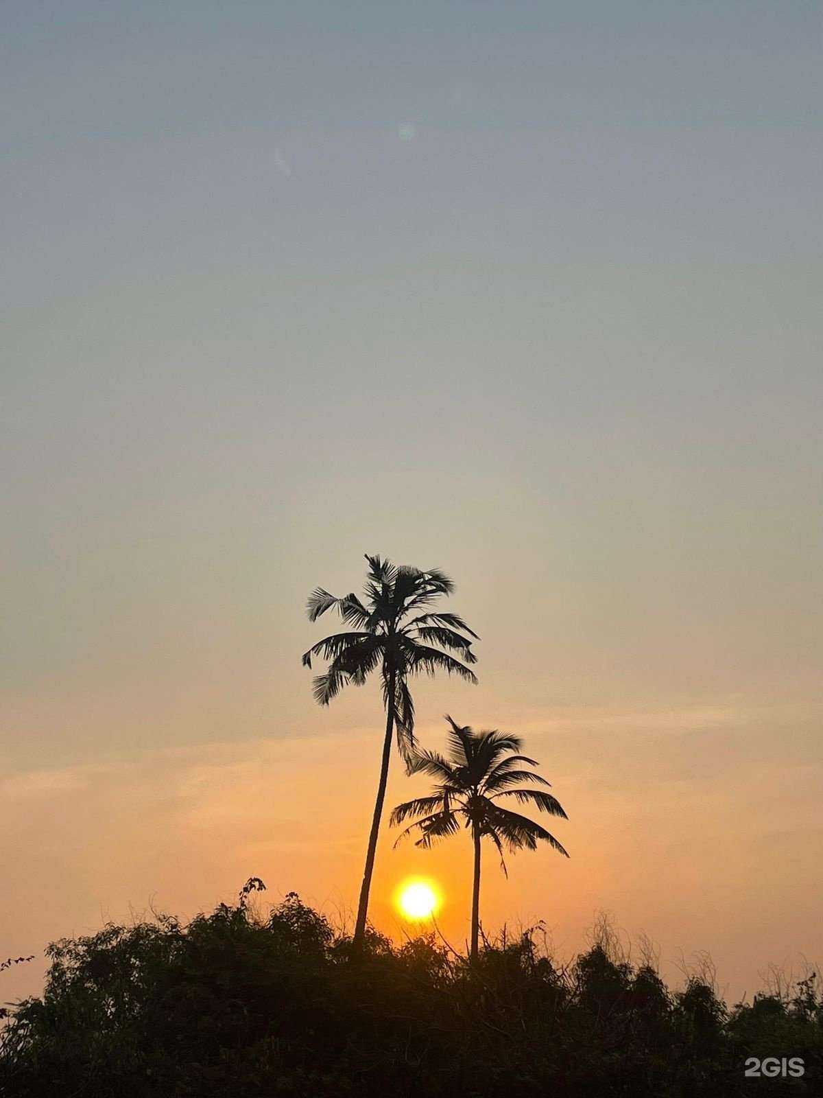 Отзывы на компанию Панама в Челябинске c фото