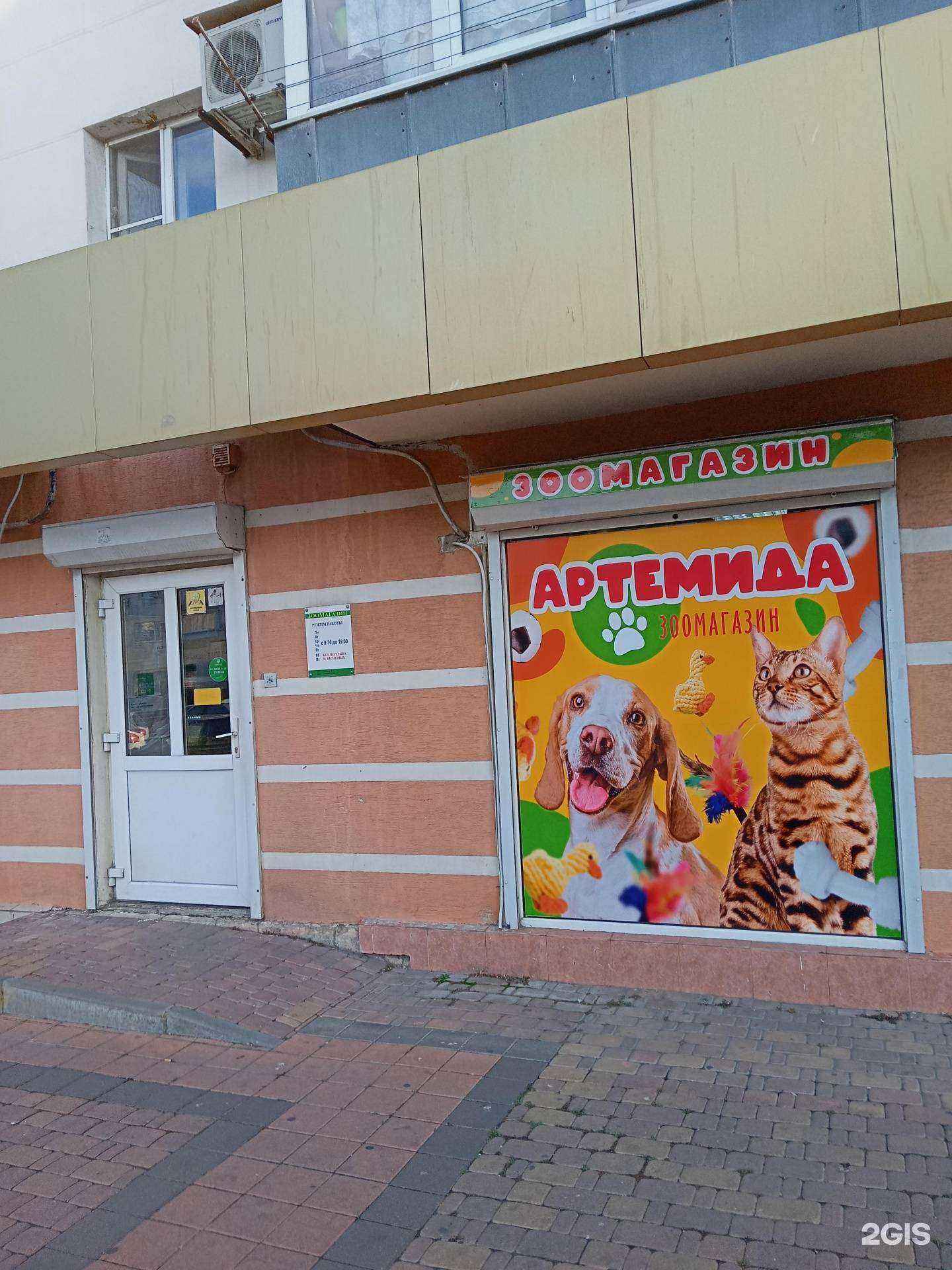 Отзывы на компанию Артемида в Новороссийске c фото