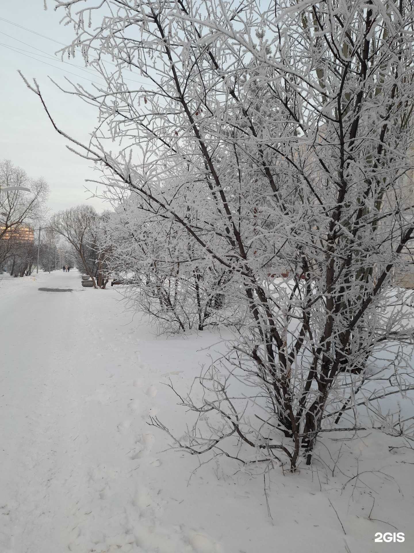 Отзывы на компанию Kosa Lak в Омске c фото - фотография 2 из 2