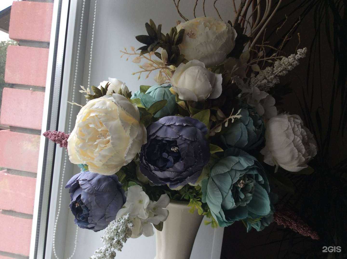 Отзывы на компанию Агава в Нижнем Новгороде c фото