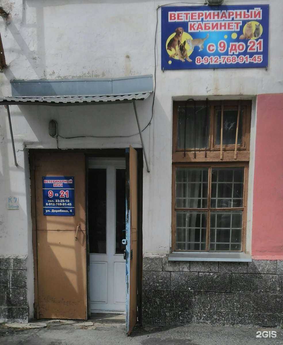 Отзывы на компанию Ветеринарный кабинет в г. Ижевск c фото