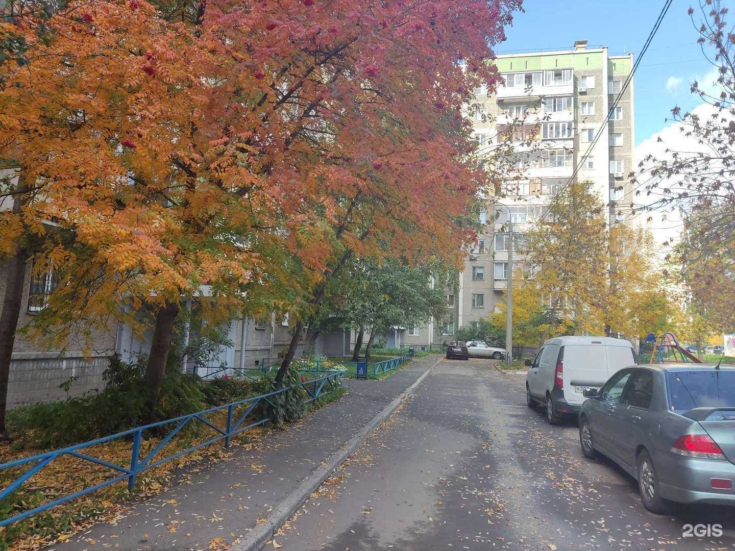 Отзывы на компанию Покажи мир в Челябинске c фото