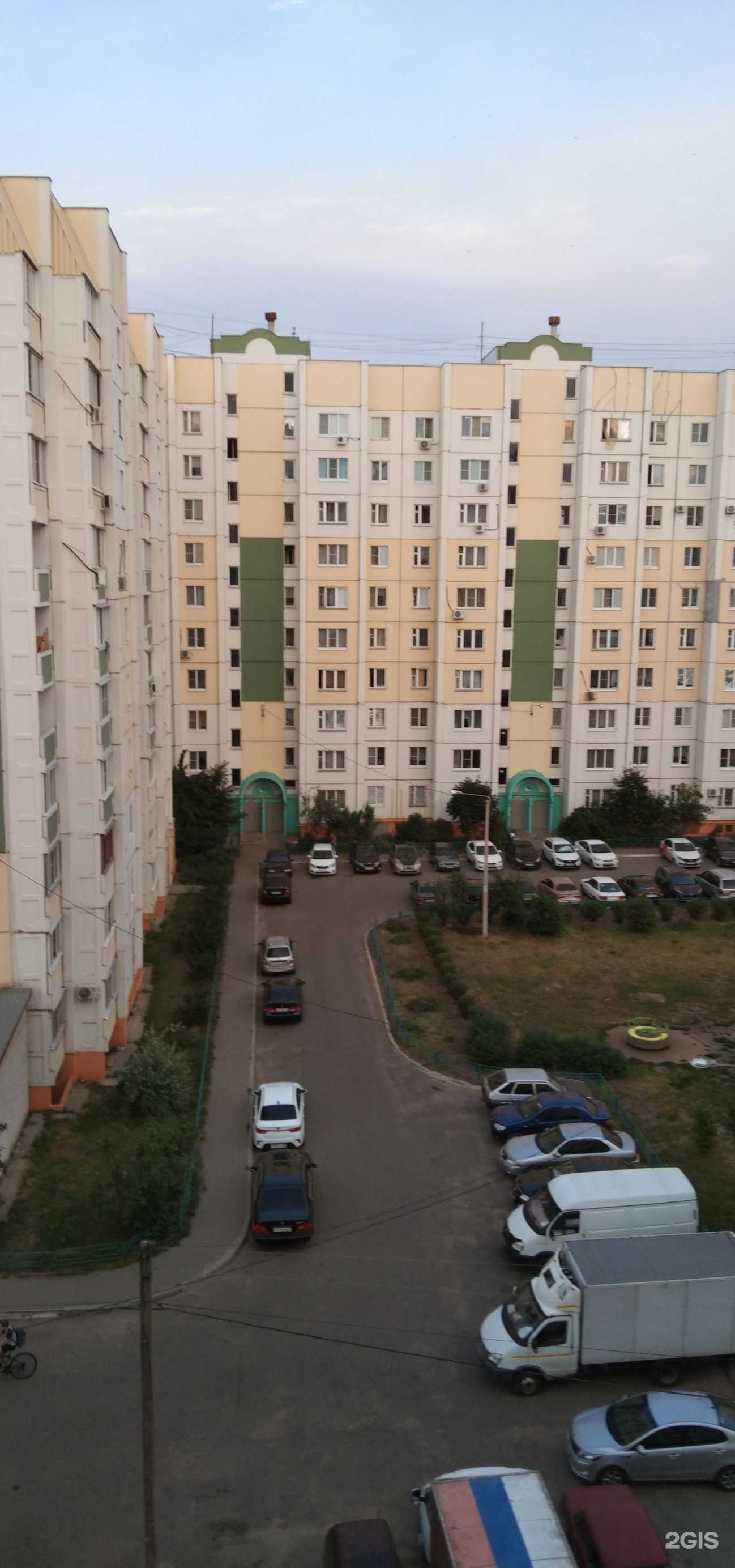 Отзывы на компанию Family в Воронеже c фото - фотография 2 из 2